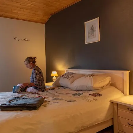 Vakantiewoning 't Reigersnest Nyaraló Zonhoven